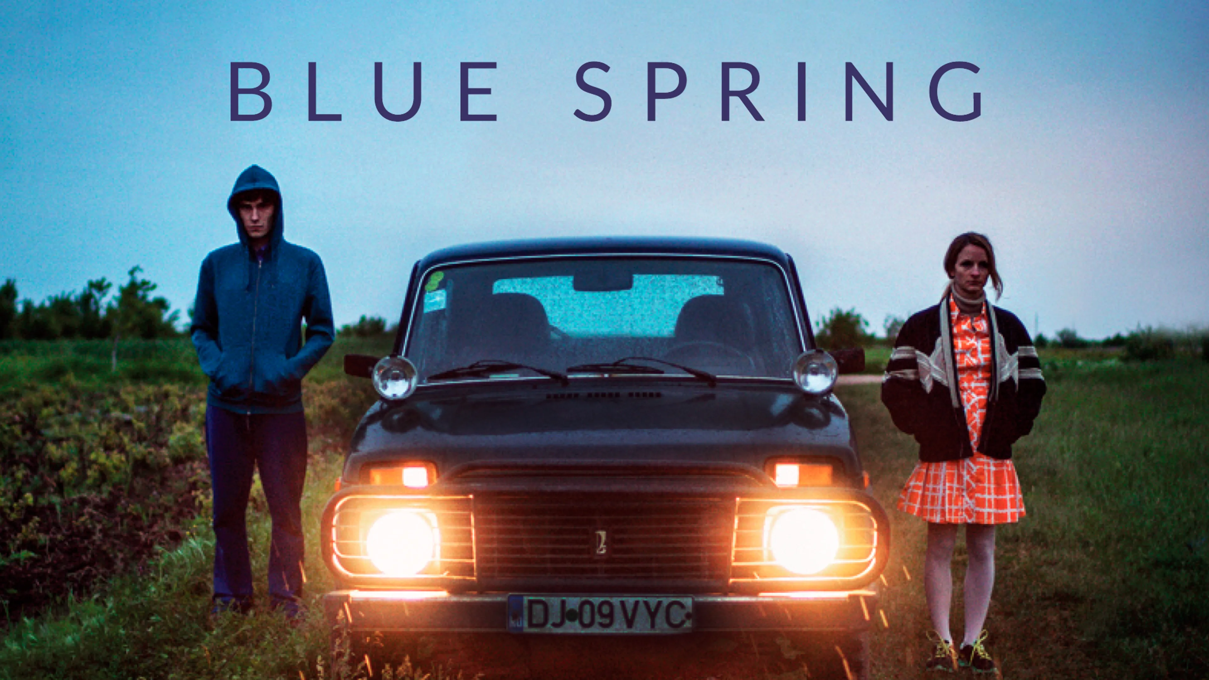 Blue Spring poster